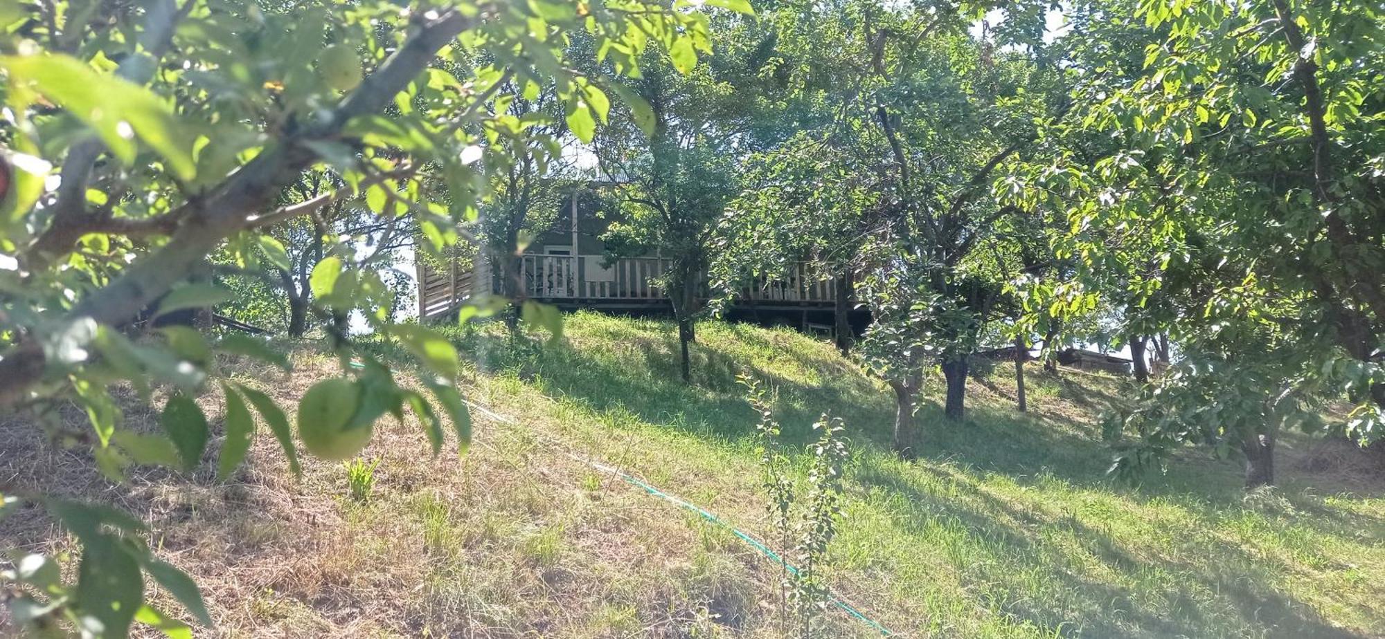 Mesxta Hotel Nakalakevi Luaran gambar