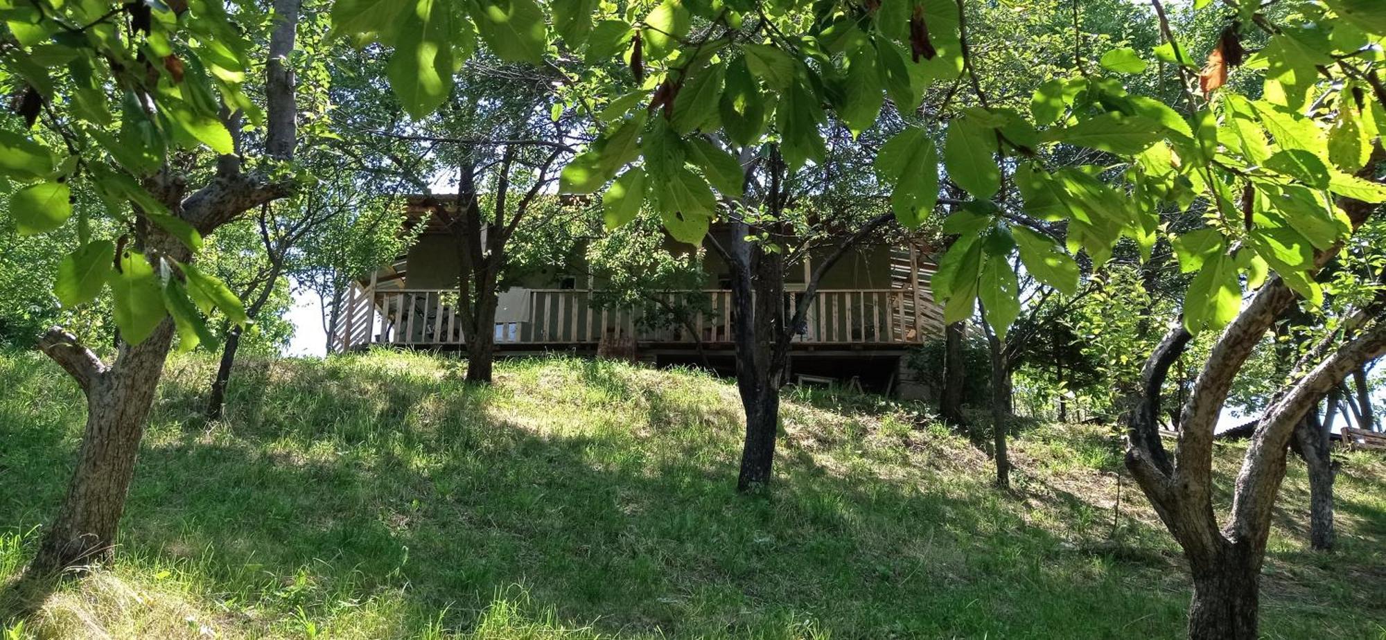 Mesxta Hotel Nakalakevi Luaran gambar