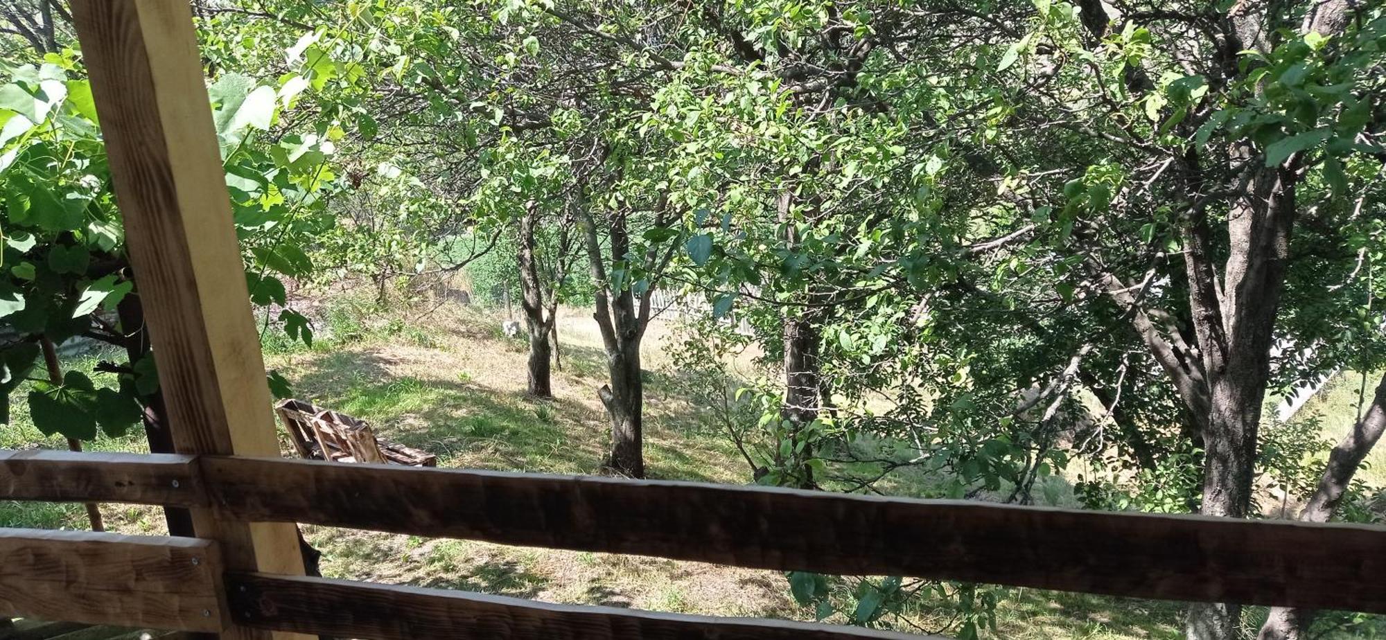 Mesxta Hotel Nakalakevi Luaran gambar